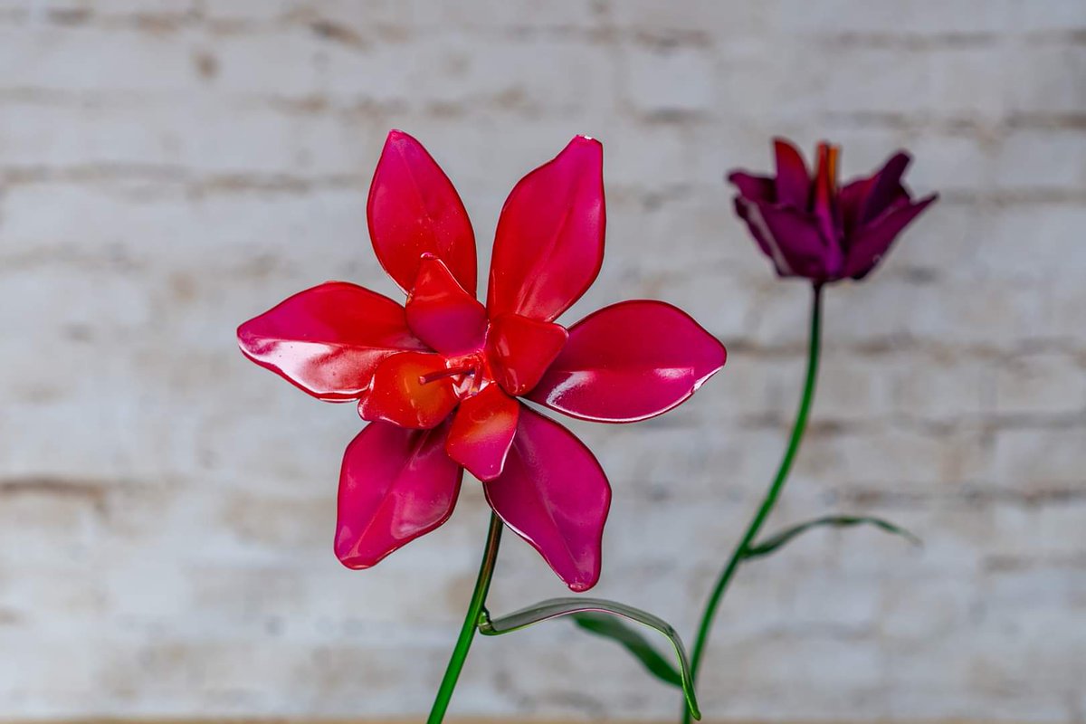 TreehouseG's tweet image. Happy Friday! Make it a good one.
Every day may not be good, but there is something good in every day.✨