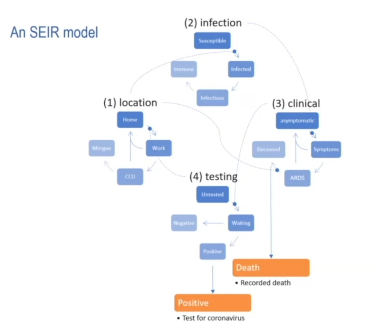 He uses an SEIR model (susceptible, exposed, infected and recovered) with four states based on your location parameters, your infection parameters, clinical parameters and testing status.