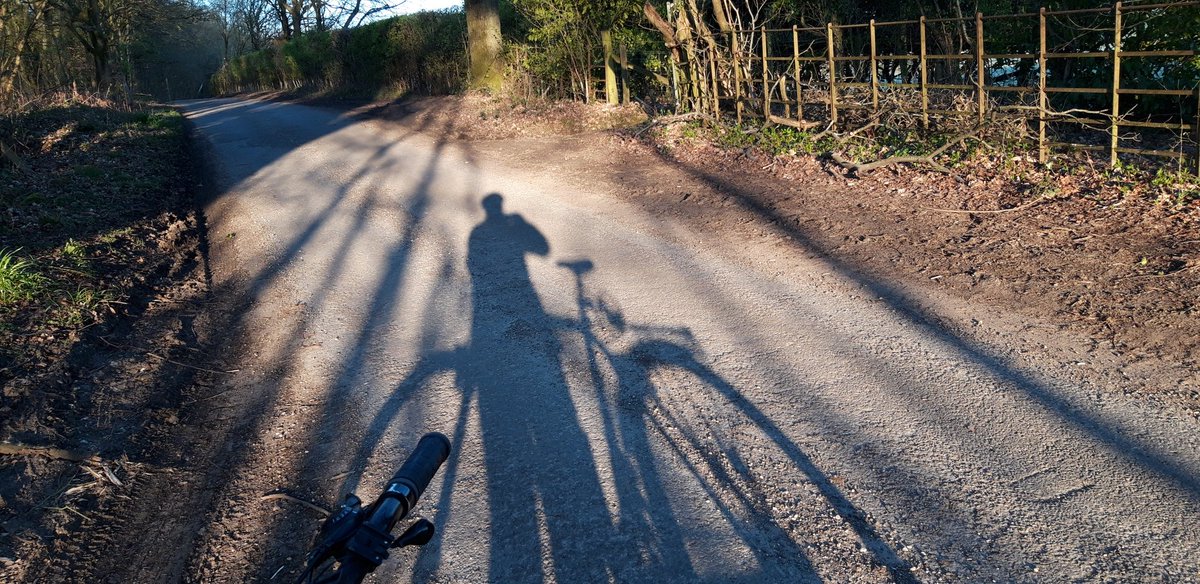 Antje Inness tweet media