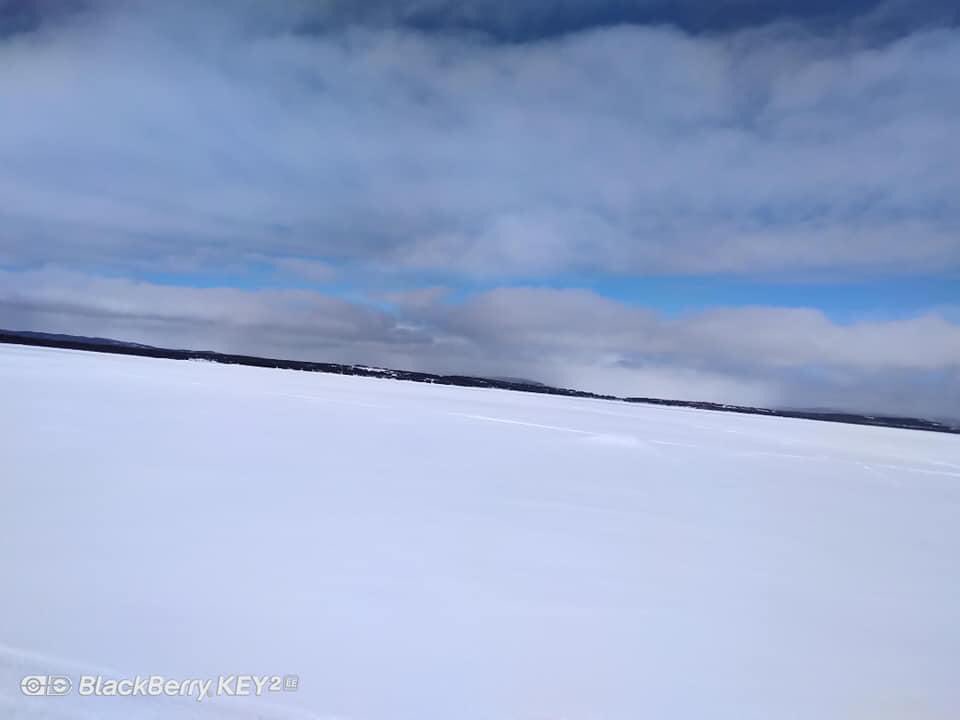 anastasia quoee tweet media