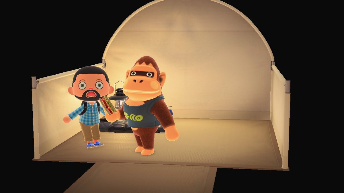 JaredLPetry's tweet image. #AnimalCrossing #ACNH #NintendoSwitch