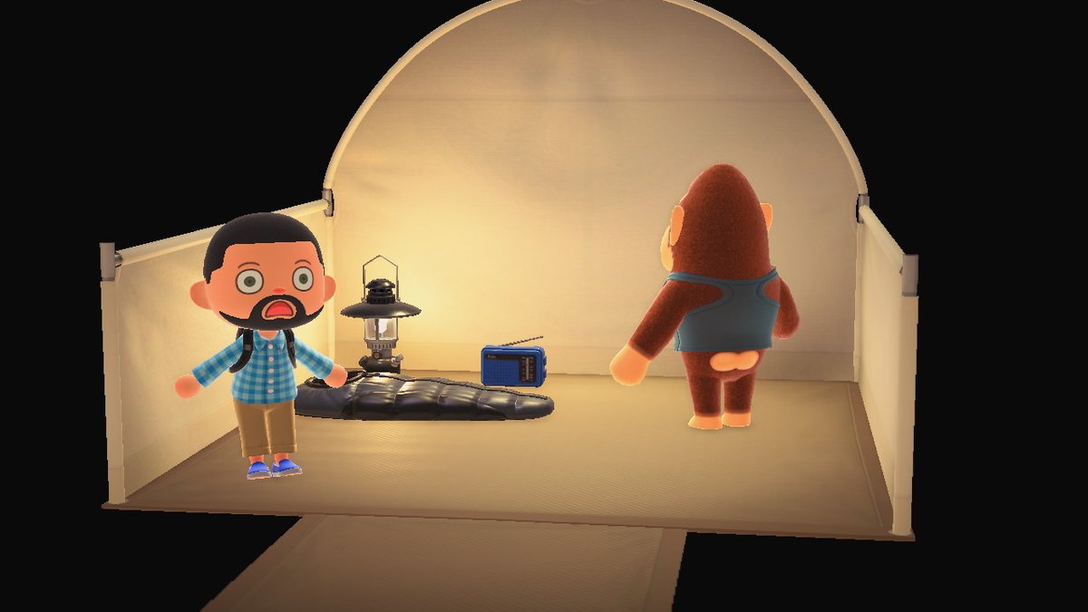 JaredLPetry's tweet image. #AnimalCrossing #ACNH #NintendoSwitch