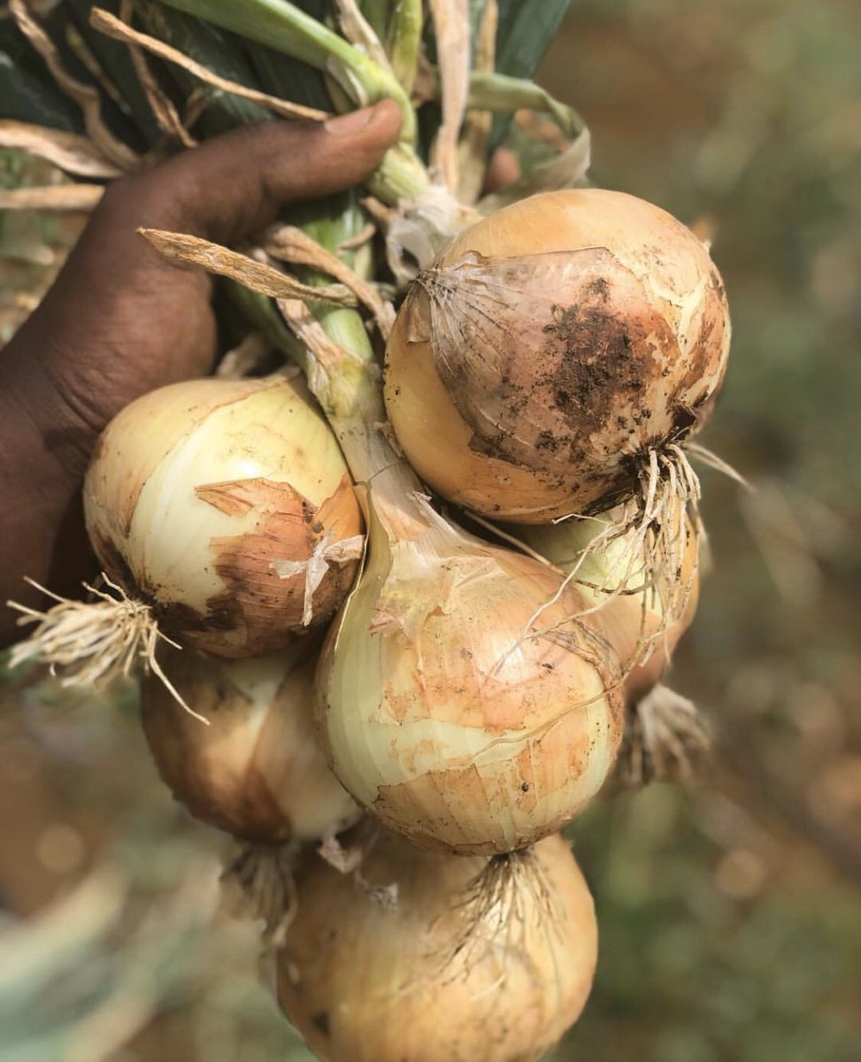 algendure's tweet image. 