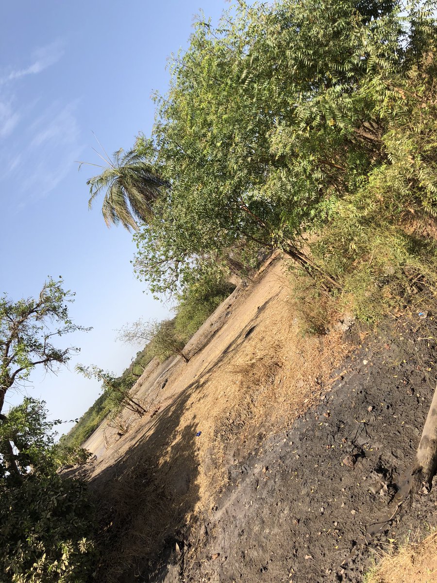 algendure's tweet image. 