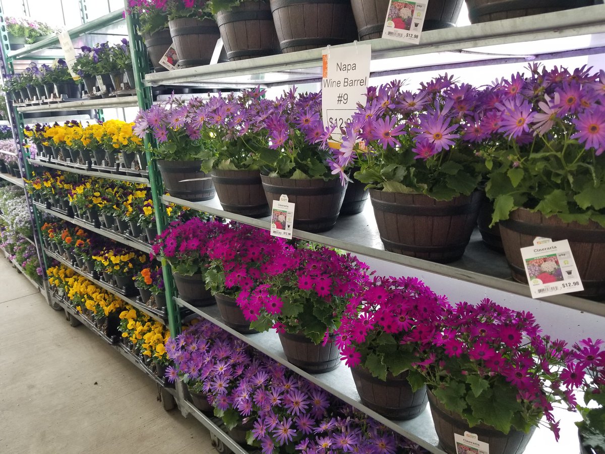 LynnieB14's tweet photo. This is how we are greeting our customers here at 3406! Getting creative with this crazy spring weather! Happy Easter to all! #lovemyjob @jennerbec72 @nh_carpenter @Noel18545207 @HomeDepotWLeb @Flowerg67959731 https://t.co/7WBvGo8YdA