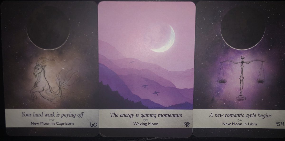 advice:literally just look at the cards. exactly what i just said! your hard work is paying off, & the energy is gaining momentum! a new romantic cycle is in store!