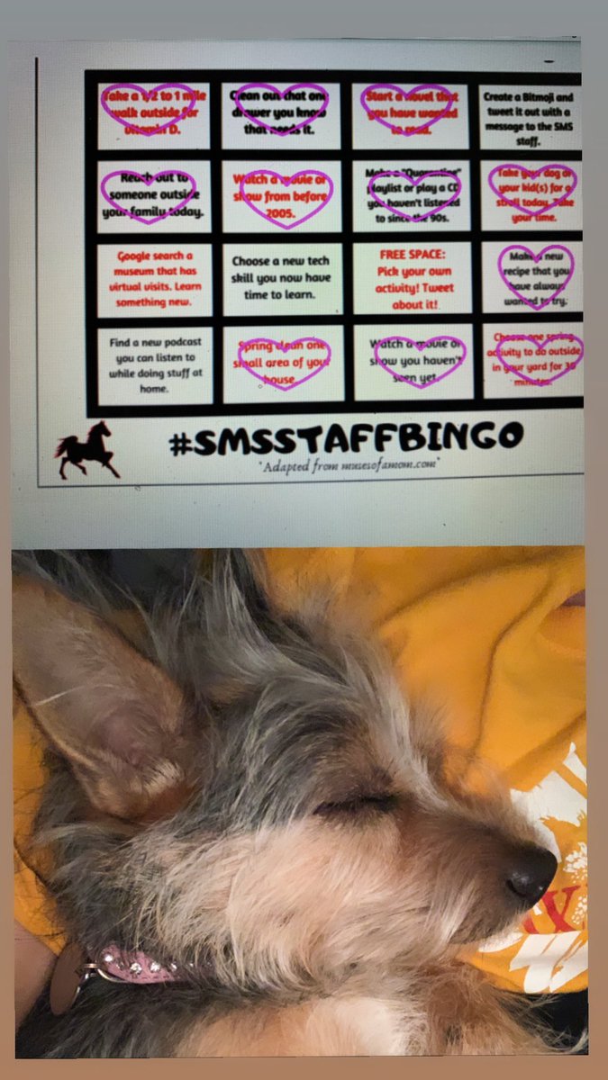 Beautiful day for a walk with little Miss Pailsey! Now she is ready for a nap. #SMSSTAFFBINGO