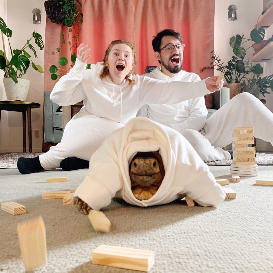 whimsygoat tweet media