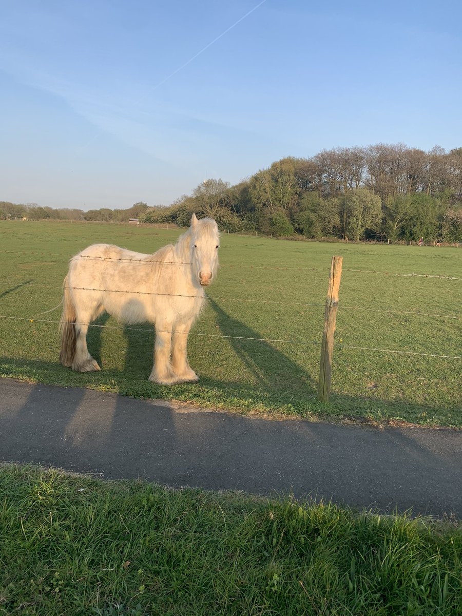 eghudial's tweet photo. Scenic Views #Denham #GoodFriday #serene #picturesque  #appreciatenature https://t.co/sb71JNX4Fr