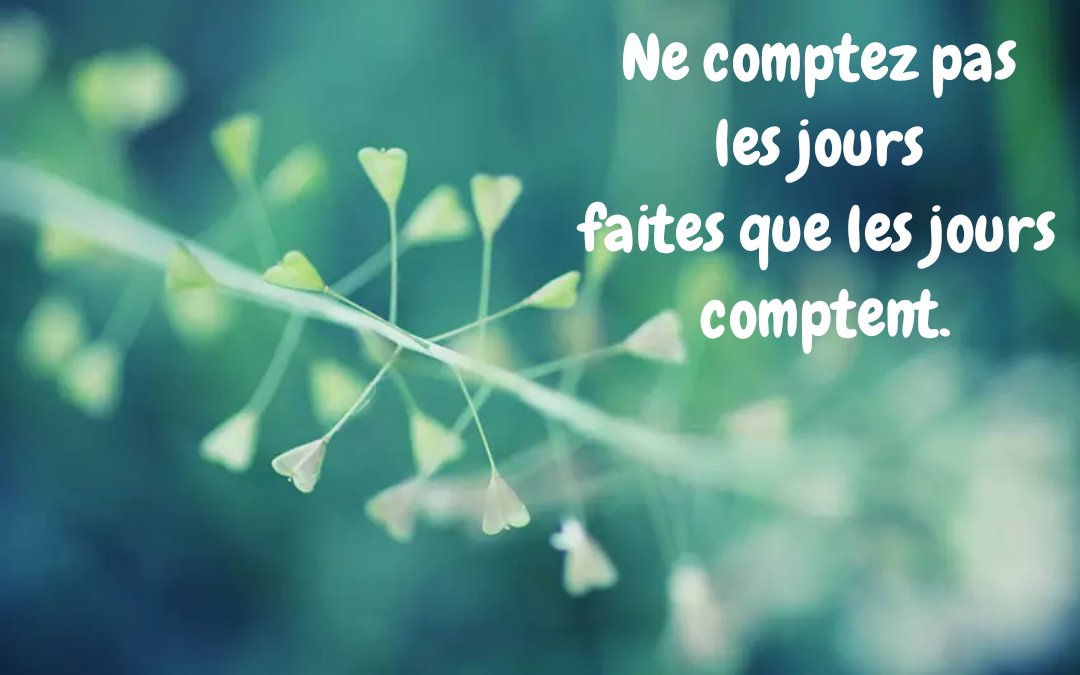 MunClaire's tweet photo. No contéis los días, haced que los días cuenten. 💚🌺 https://t.co/xbnpxXX707