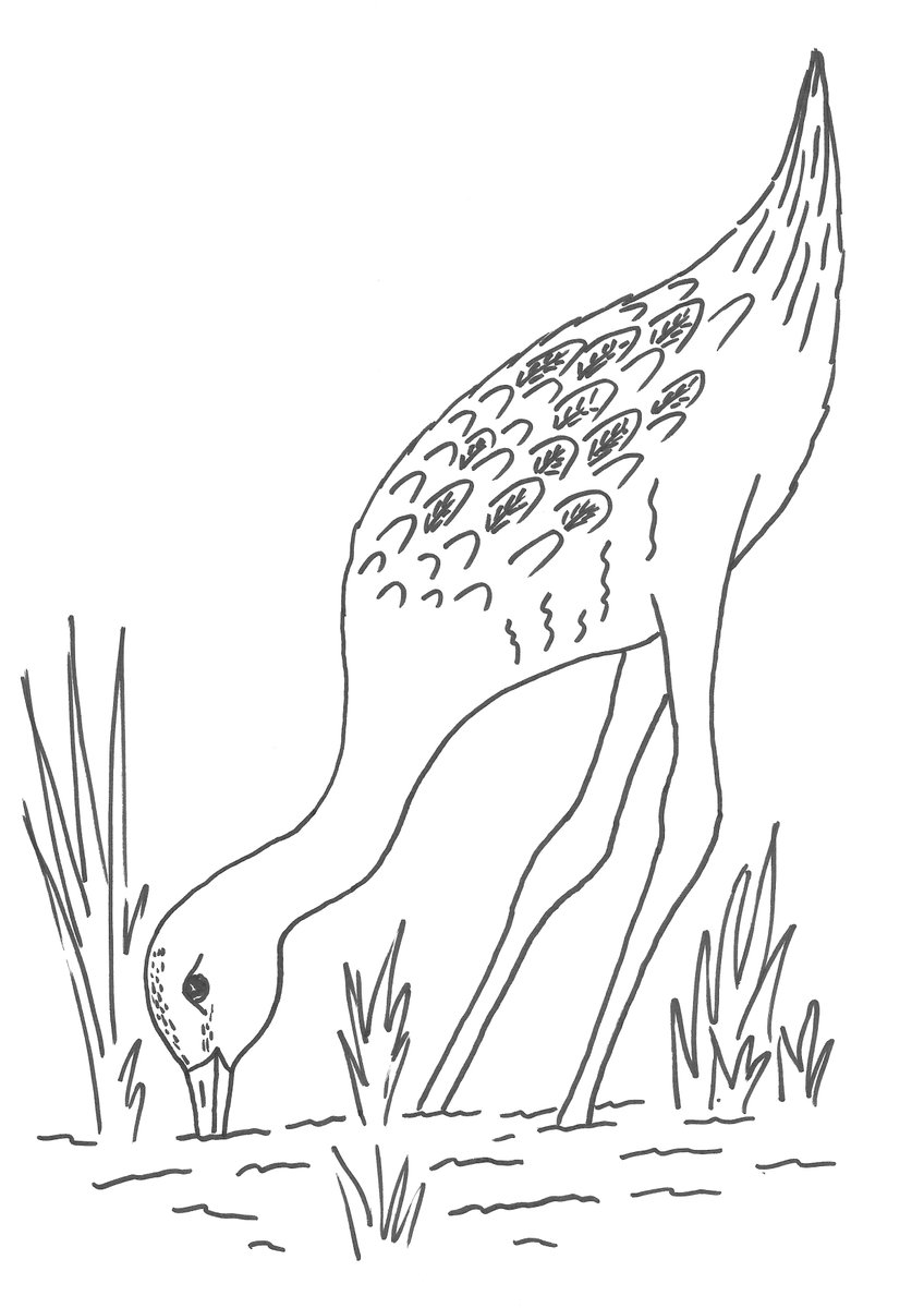 Wild_NEScot's tweet photo. @projectgodwit Also very obvious that essentially all of my illustration is either children's worksheets or things you can draw on a white/chalkboard with three pens. #otherdutiesasrequired #projectgodwit #ohmygodwits https://t.co/vUmKOr7cN7