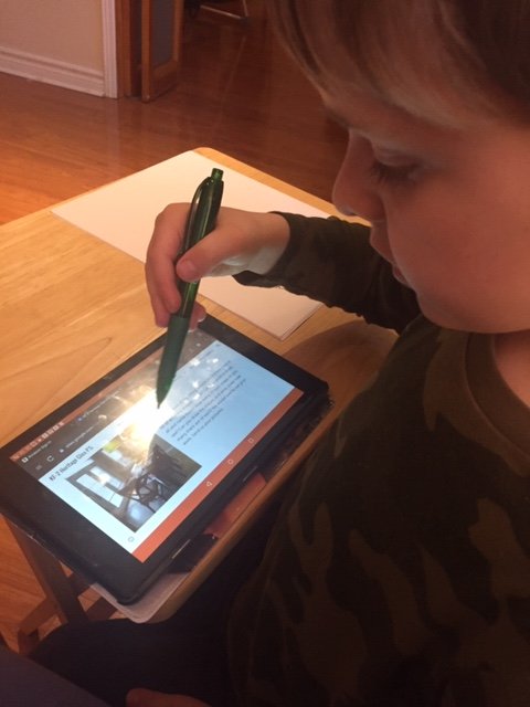 Our first week of our online learning adventure has come to an end. A BIG thank you to all the parents and students for your enthusiastic participation! If you are celebrating Passover, Easter or Vaisakhi, we wish you a happy holiday!
