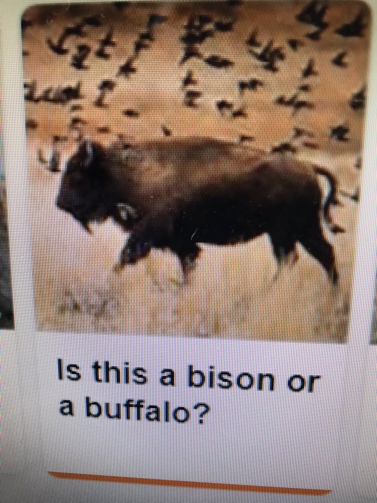 Jackmcoach@optonline.net tweet media