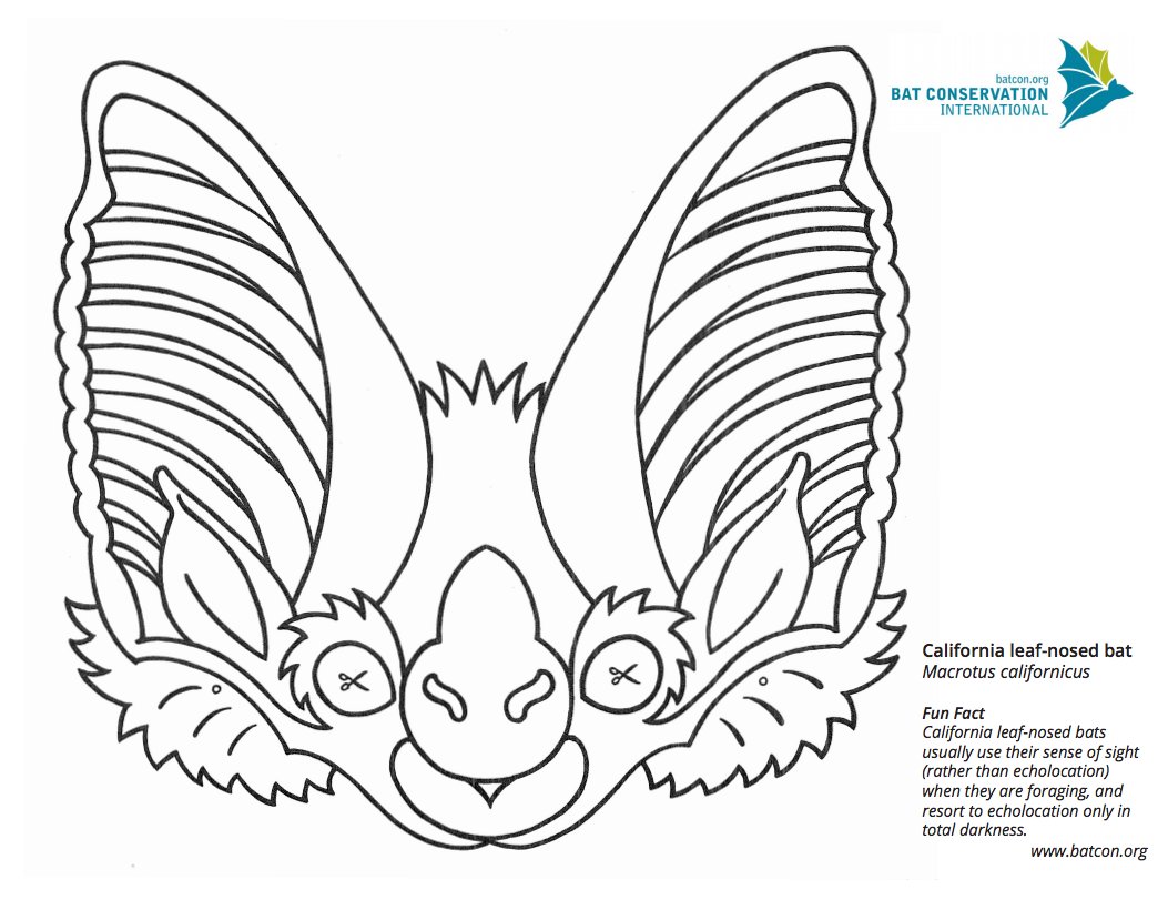 Happy Friday! Looking for something fun to do? Try out this make your own bat mask, this time of the California leaf-nosed bat (Macrotus californicus)! ow.ly/jdMP50zasVE