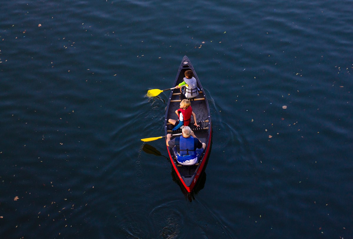 AnnuityWatchUSA's tweet photo. Steer you and your family's future in the right direction. With a fixed index annuity, you can be sure you'll stay afloat in retirement: https://t.co/RMlpxJzgdd #fixedindexannuity #annuities #annuity https://t.co/zvYGxZGa4Q