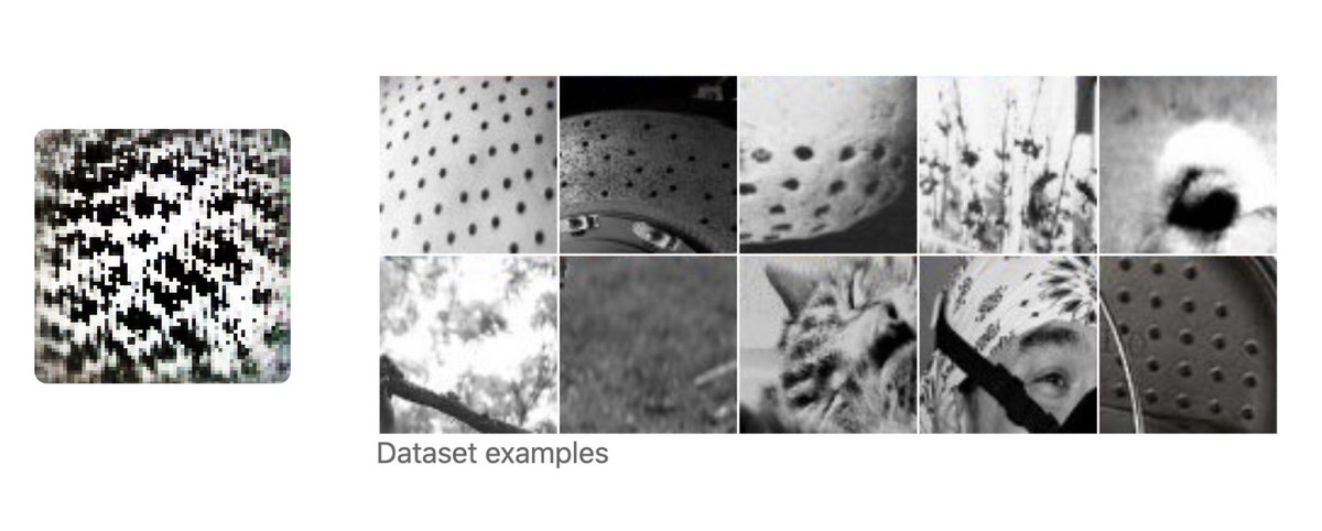 Dataset examples (images that cause the neuron to fire)