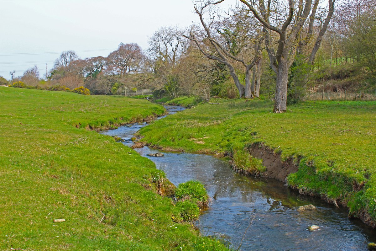 MD_Briggs's tweet photo. Today I discovered the wonderfully peaceful #Whittle_Burn, which joins the #Tyne at #Ovingham
And the most magnificent display of #Northumberland #Primrose π and wild pink #Iris ?π€
#GoodFriday #SpringTyne https://t.co/fYLeUfh5io