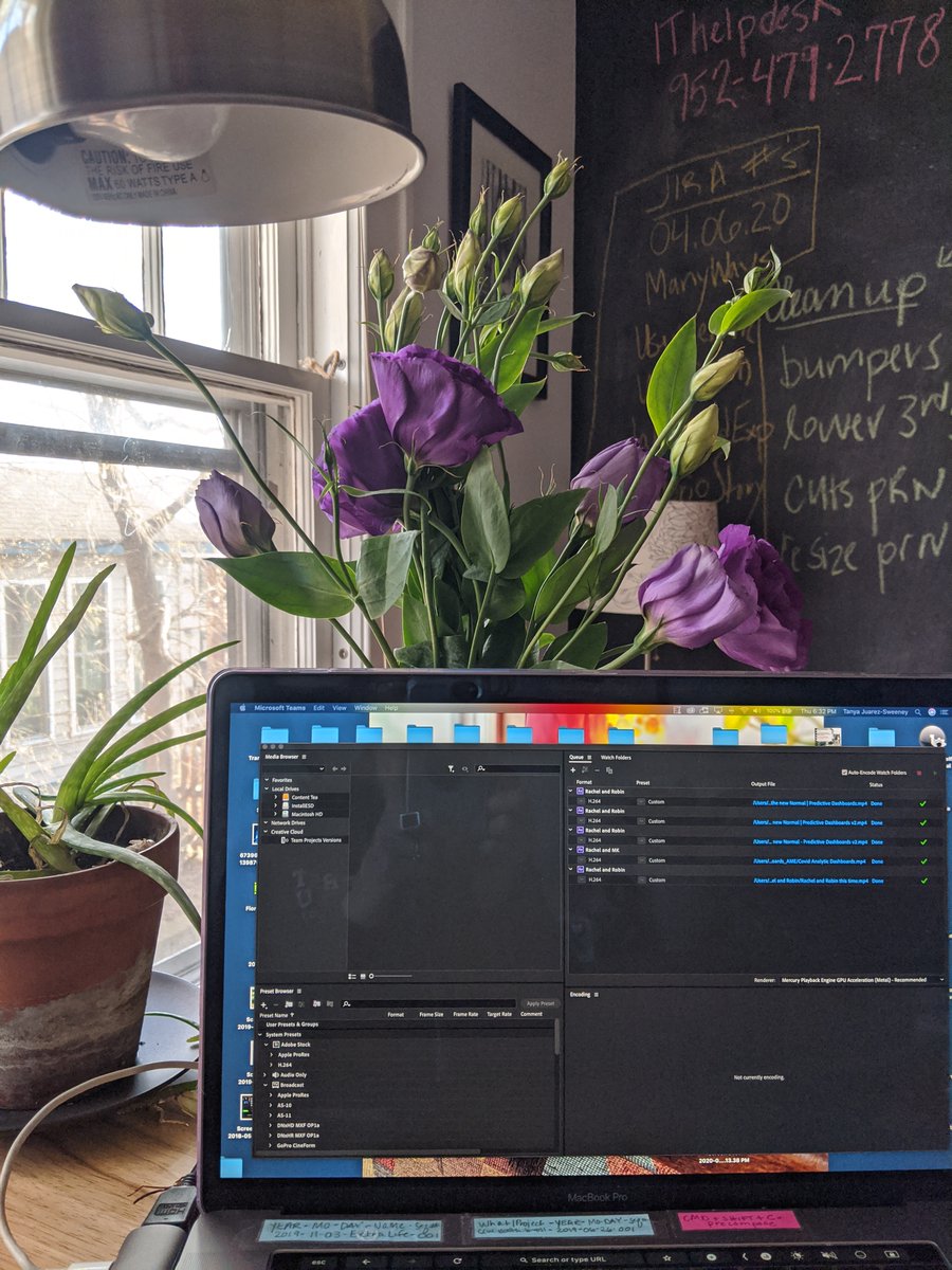 A really cute delivery guy just walked in my office and set this flower delivery down on my desk without saying a word. #wfhPerks #wfh #remoteworking #CalabrioGratitude