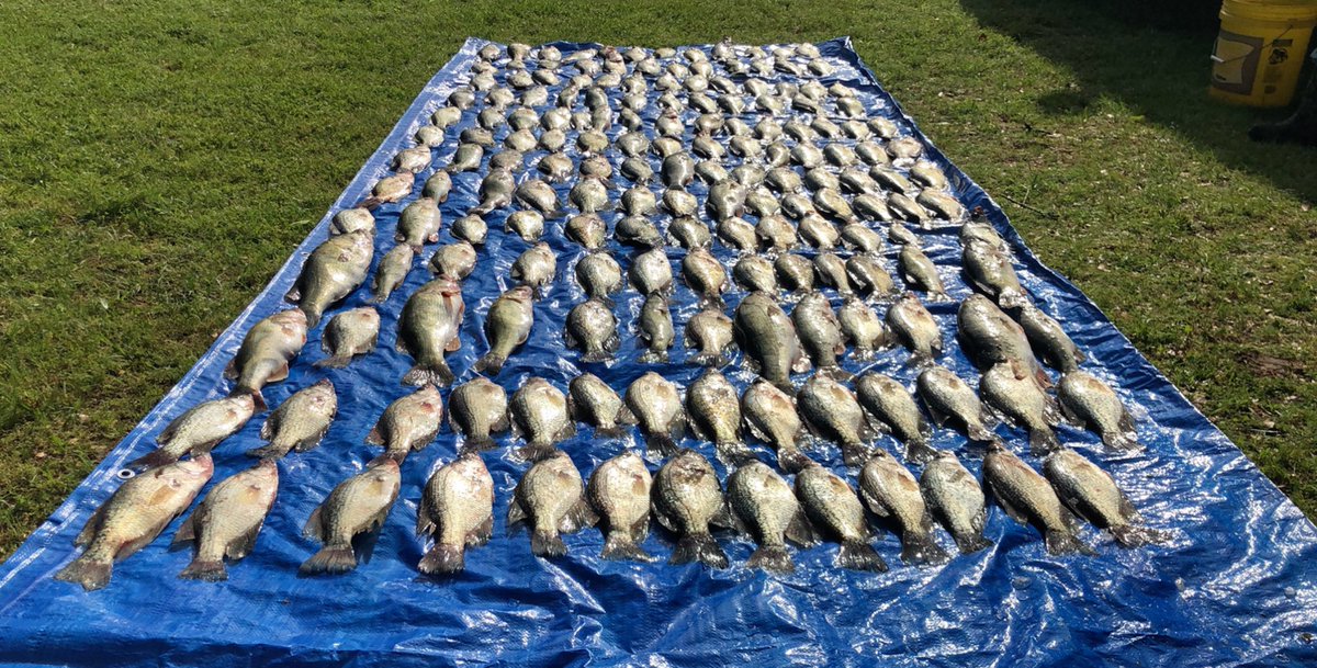 _Lo_D_P_2020's tweet image. Also into watching #Catchables. #SocialDistancingTheRightWay