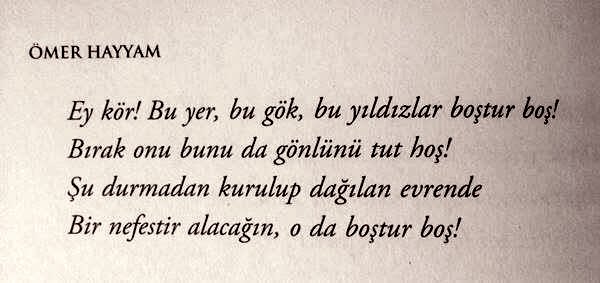 Dumaloq eshak jinsiy aloqa