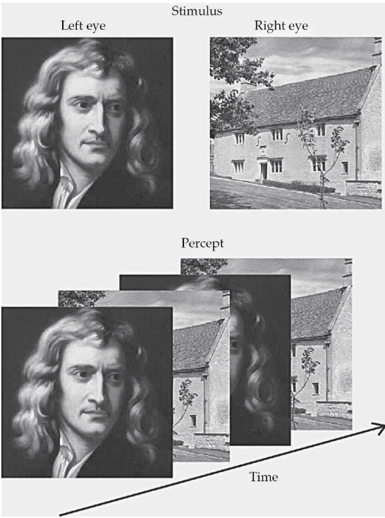 One of the things the book talks about is binocular rivalry (BR). It's a setup where you are shown one picture (e.g. a face) in your left eye, and another (e.g. a house) in the right. People report that their experience keeps alternating between seeing a face and seeing a house.