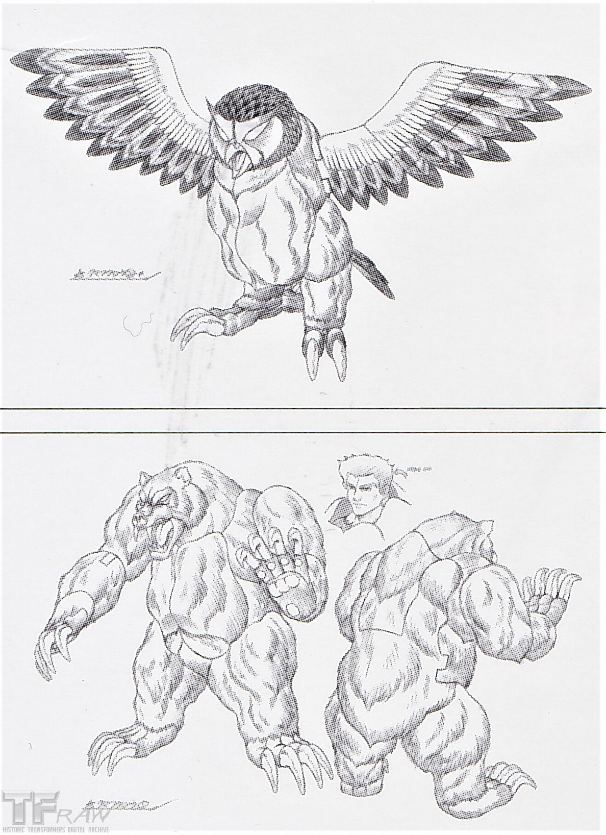 Transformers Multimedia Archive on Twitter "The Animorphs