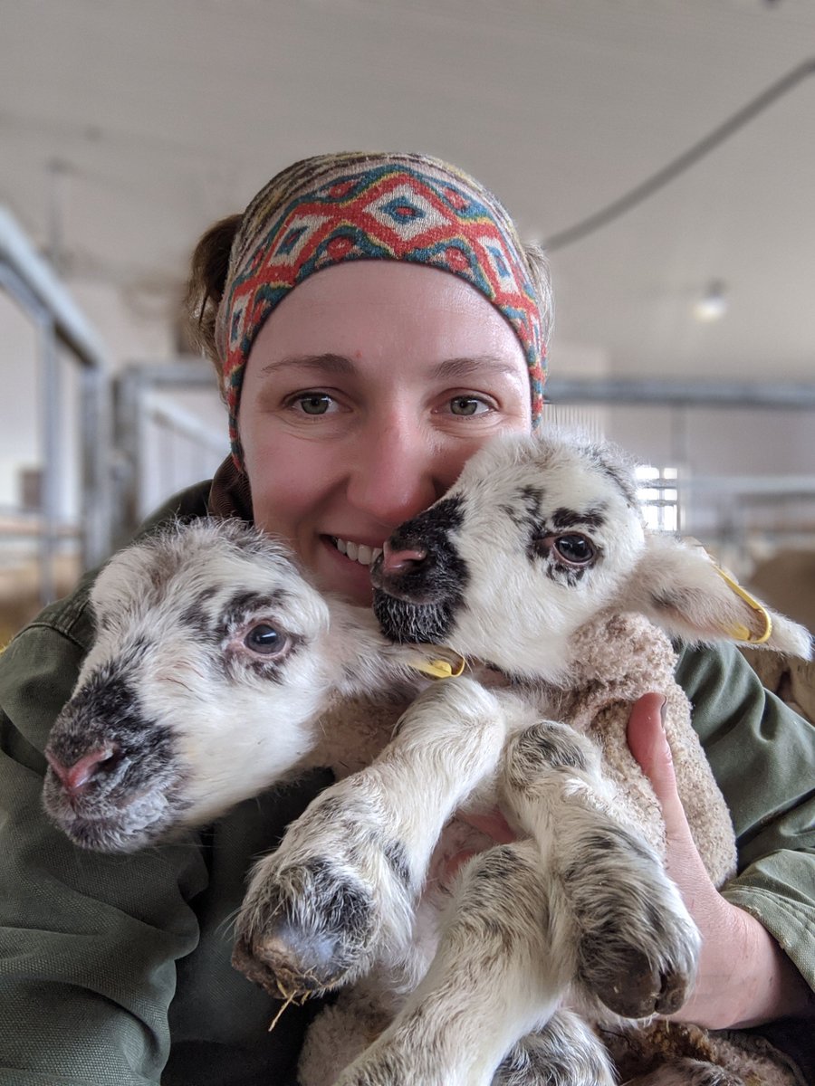 OntarioFarms's tweet photo. A big thank you to Ontario sheep farmers and your dedication to animal care, nutrition and the busy lambing season. Ontarians are dependent on local farmers now more than ever, and we're grateful to have access to these high-quality meat and wool products #OntAgProud https://t.co/tLconIlzzk