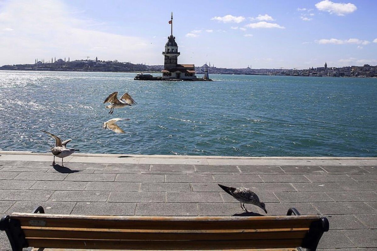 Evde olduğunuz için teşekkür ederiz.