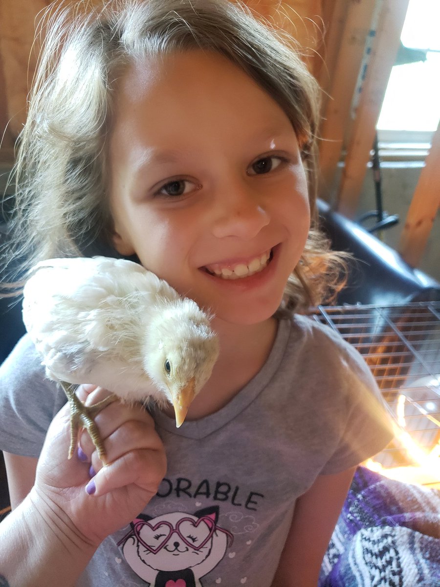 Heather1985ness's tweet photo. @abcluk01 @Elizabe68988415 My girl with one of the Americana chicks. https://t.co/8c2cfuKFMk