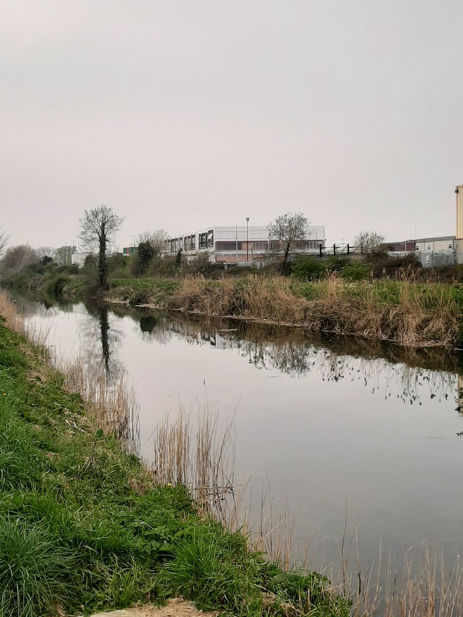 Walking along the canal is so peaceful, the sound of birds chirping almost drowns out the swish of the occasional car on Nangor Road less than 50 yards away.