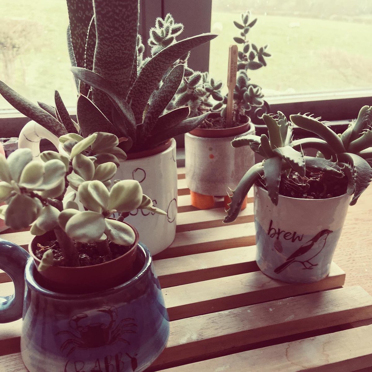 McPots18's tweet photo. I’ve been making lots of pots for someone & a whopper for me #keepmaking #1kgofclay #throwingpots #lostinclay #keepgoing #keepsmiling #keepsafe https://t.co/lyRMEVGU5J