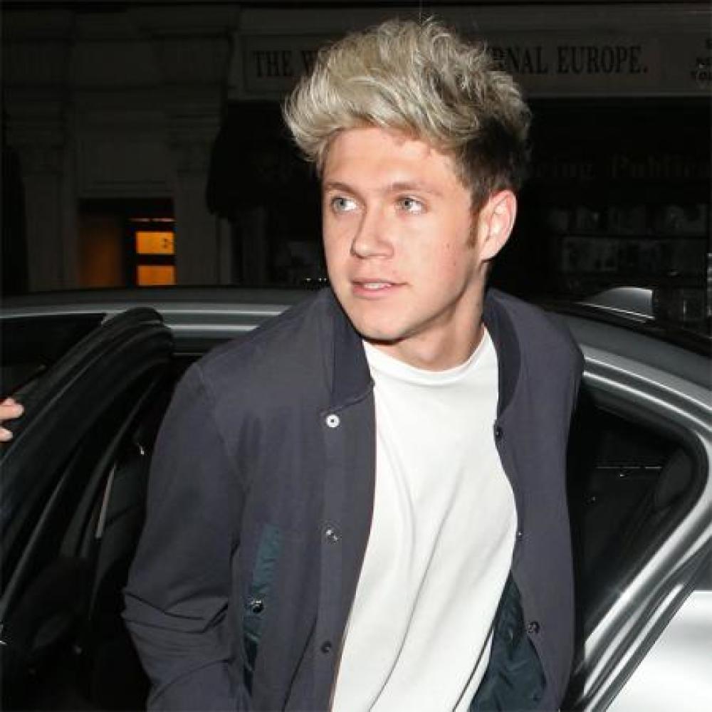 frat boy niall horan ~ needed thread