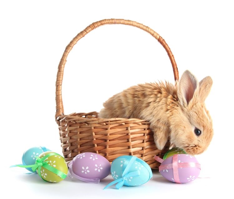 Best wishes from Dr. Jeffrey S. Kahn, Dr. Craig M. Kaufman, Dr. Ayman M. Latif, and Dr. Raffaella R. Pascarella and the staff to all of our patients celebrating #Easter this weekend! ow.ly/PmKz50z2uTK #podiatrist #dpm