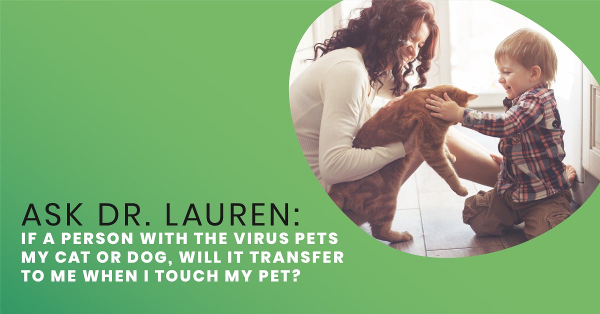VIP Petcare tweet media