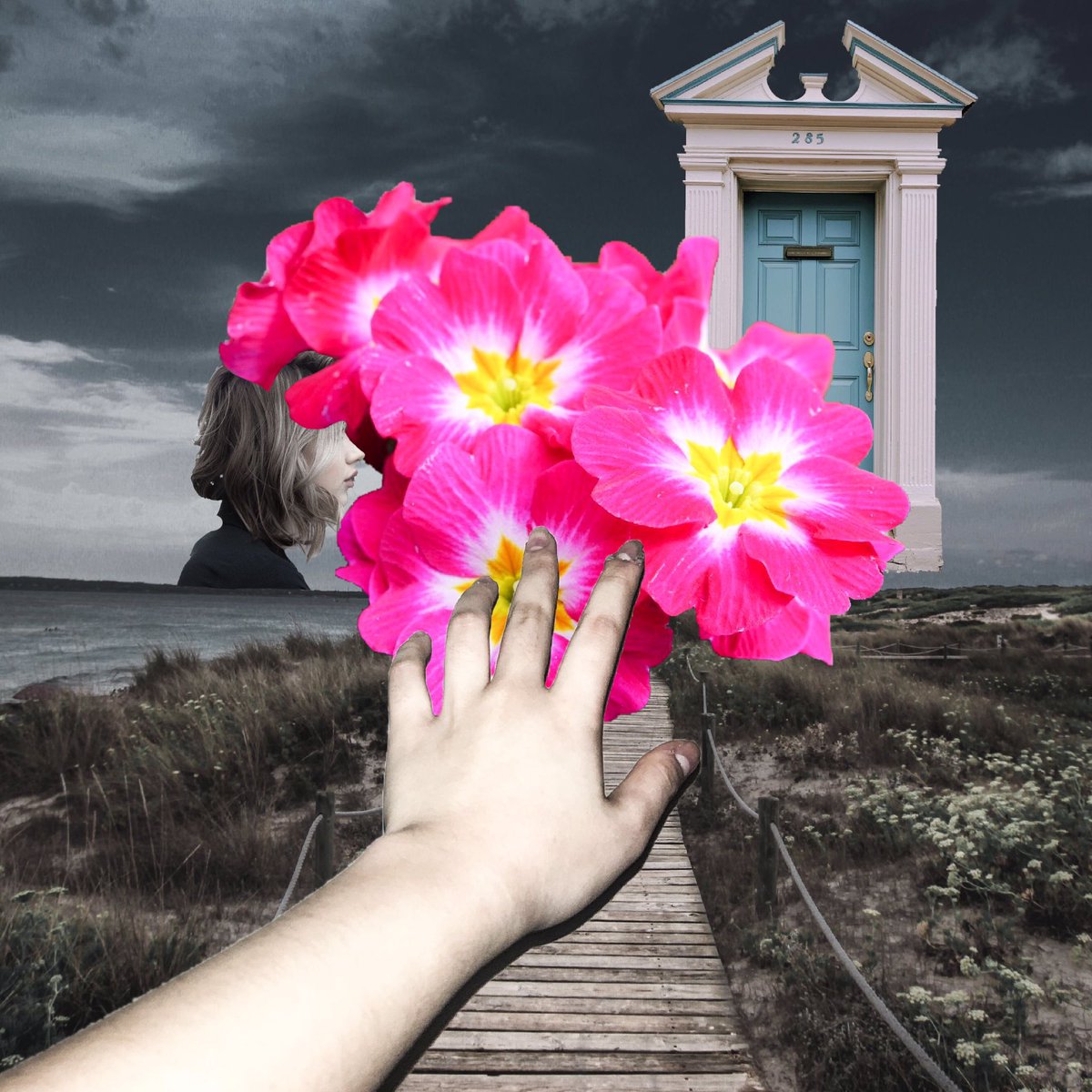 未ュウ A Twitteren 大好きな友人に教えてもらった プリムラ というお花には タッチミー という素敵な品種があるの そして その花たちの花言葉も素敵なの だから 言葉を込めて コラージュした そして 手書き文字を添えてみた ミッドナイトシュル