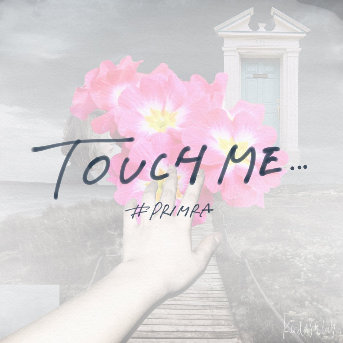 未ュウ A Twitteren 大好きな友人に教えてもらった プリムラ というお花には タッチミー という素敵な品種があるの そして その花たちの花言葉も素敵なの だから 言葉を込めて コラージュした そして 手書き文字を添えてみた ミッドナイトシュル