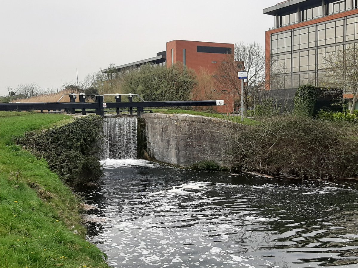 I'd say most people around Clondalkin have heard of Ninth Lock Road - this is the less well-known Eighth Lock.