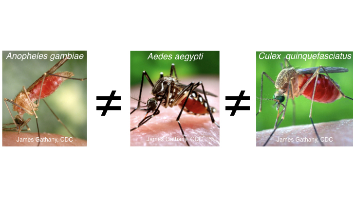 Part of the confusion has been trying to ascribe the response of one mosquito species to all mosquito species. But as you can see, each mosquito species responds differently to odors. This is not surprising as each likely has odor receptors with different response properties.