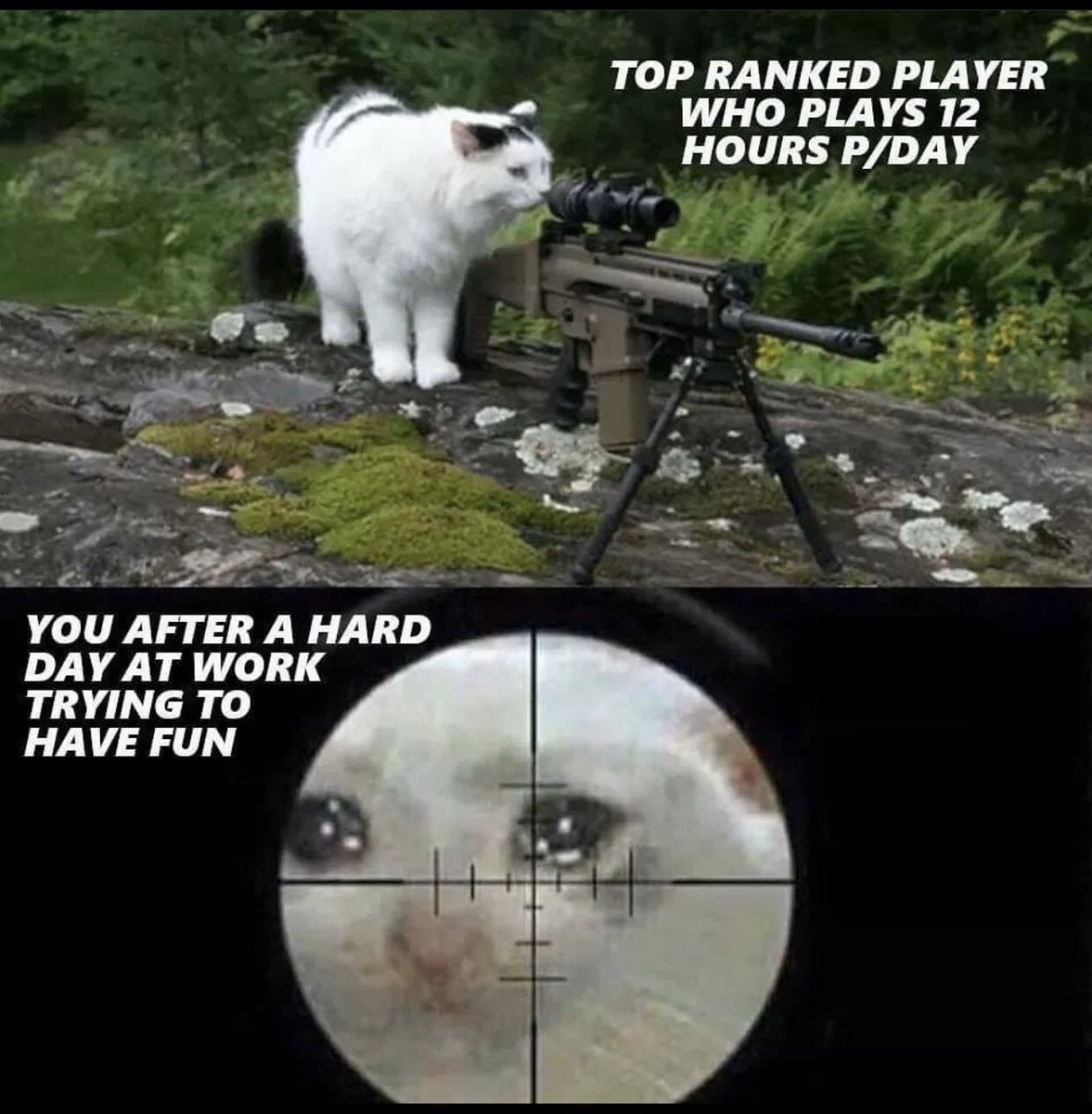 Chandlarger's tweet image. 