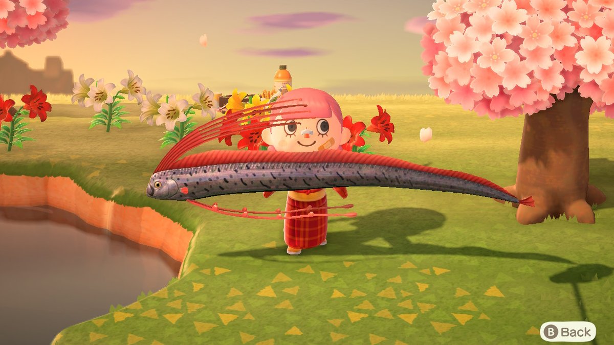 Guys on tinder be like
#ACNH #longboi