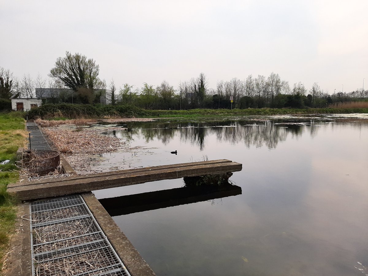Behind Park West Business Park, there's what used to be the Guinness Filter Bed, where they drew water off from the canal to use in brewing - must've been before they built the reservoir under James St; now it's just a huge pond for ducks.