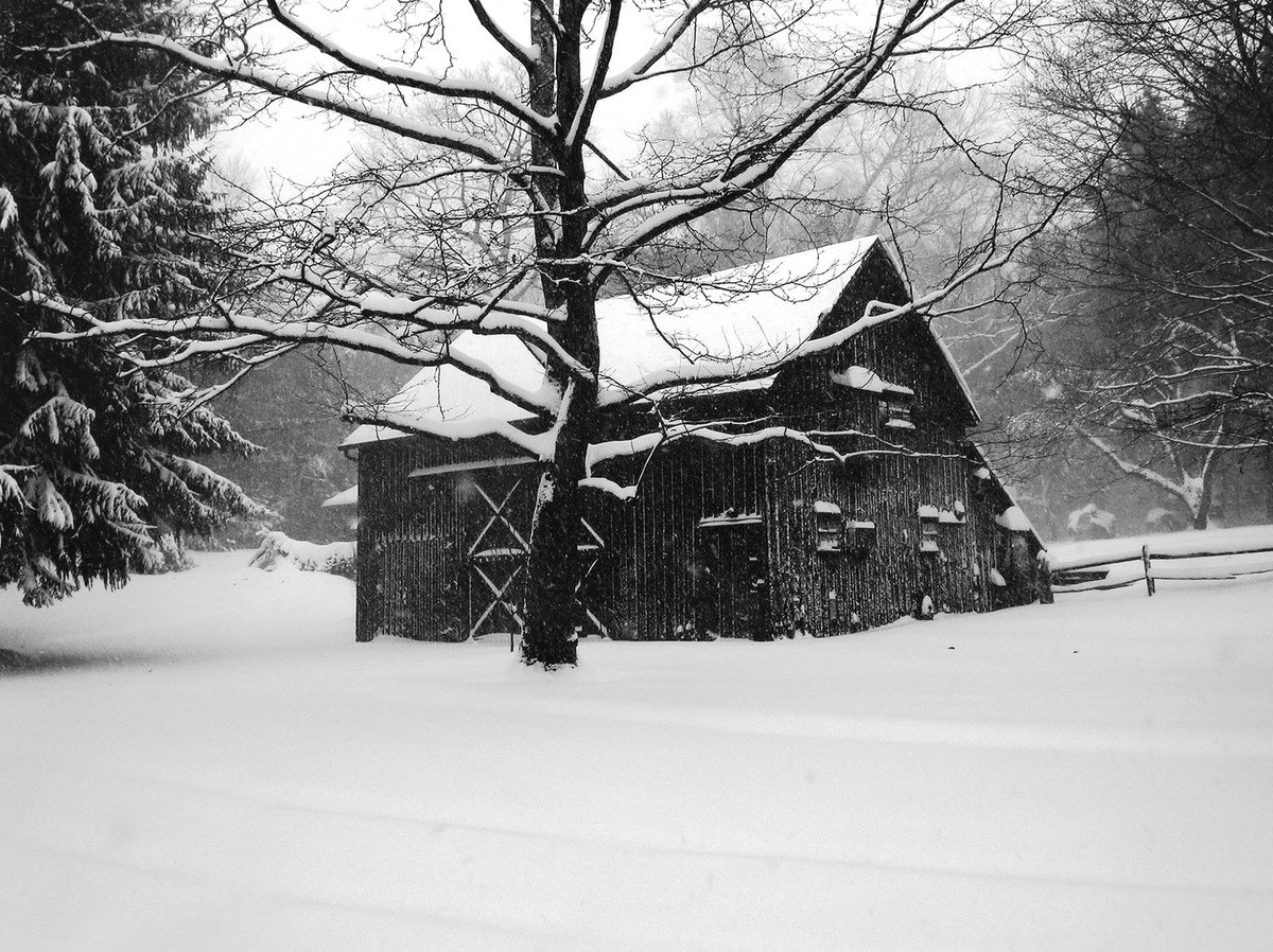 Tom PennIrving Penn's darkroom, Huntington, NY, 2004Tom Penn, the son of Irving Penn & Lisa Fonssagrives, is a silversmith/metal designer.