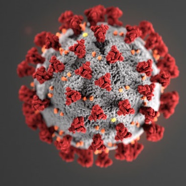 I posted my 4/3/20  #SARSCoV2 ( #COVID19) research correspondence to the Foundation website. Notes on SARS-CoV-2 (COVID-19) inflammatory pathway, and rationale for interim clinical guidance on repurposed therapeutics (possibly on the IL-6/TNF/Th17 axis). http://hussmanfoundation.org/articles/SARSCoV2_Therapeutics.html