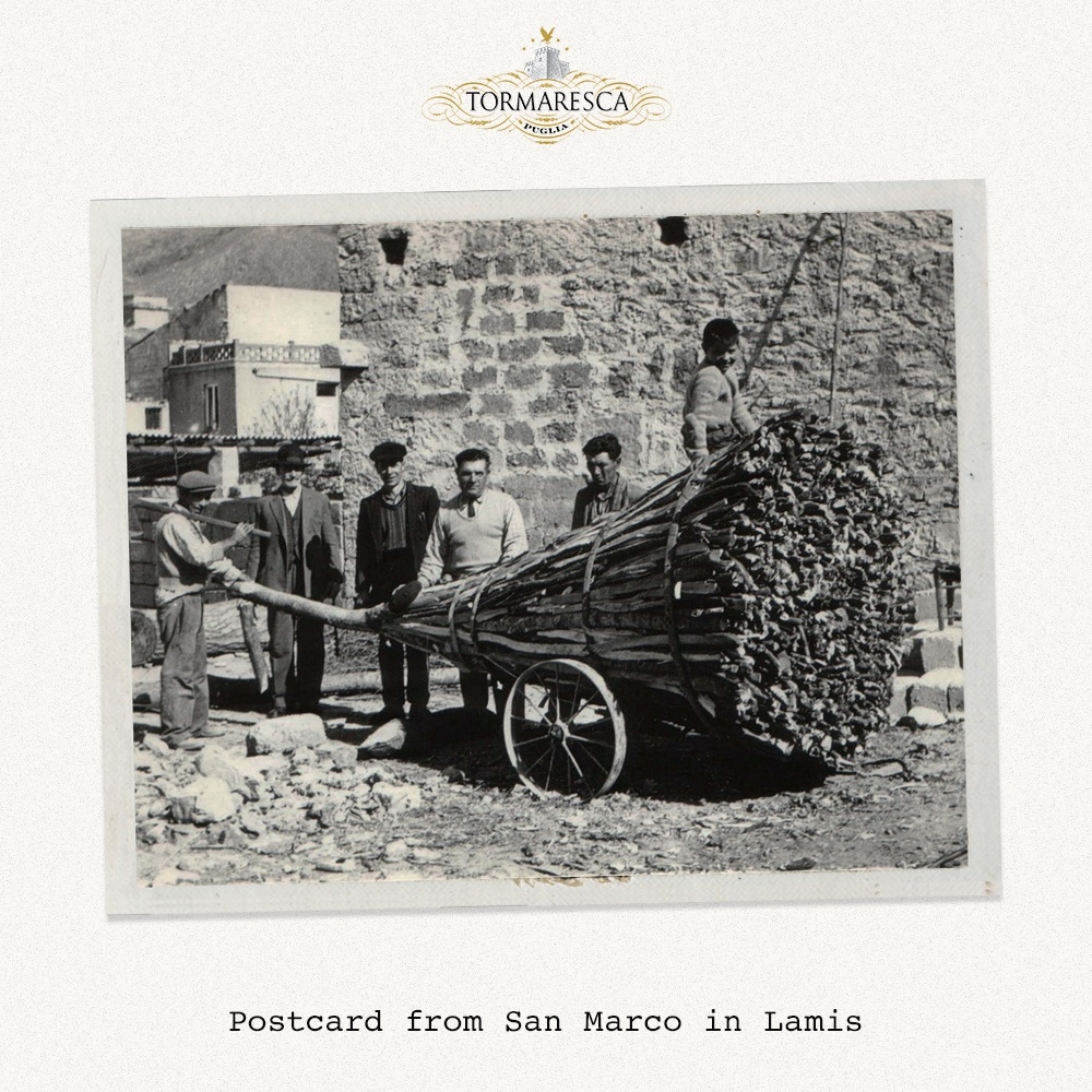 Tormaresca's tweet photo. Quest’anno vogliamo celebrare la notte delle
fracchie di San Marco in Lamis con una
bellissima foto d’epoca 🔥 🔥 🔥
#Tormaresca #Puglia #Fracchie https://t.co/2w2k8xcre0