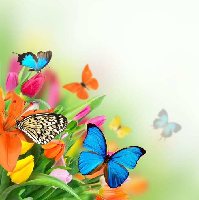 Celebrating #Passover or #Easter this week? Best wishes from Dr. Bruce Theall and the staff at Gentle Touch Foot Care in East Orange, NJ for a joyous and wonderful celebration. #podiatrist #dpm ow.ly/rUGx50z1H1O