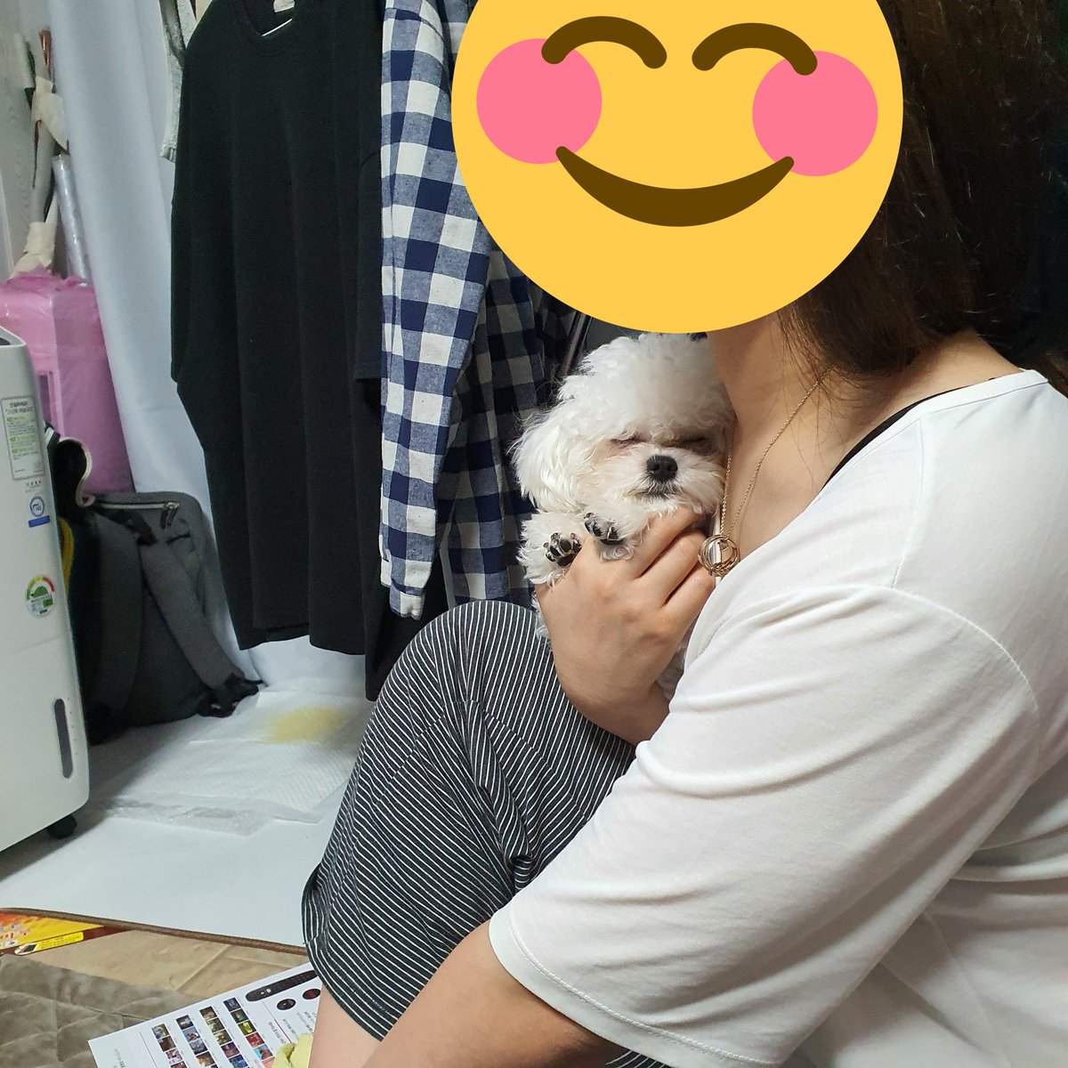 BBuGGu_Summer's tweet photo. 이러고 잠ㅋㅋㅋㅋ https://t.co/OBkWLqKMi3