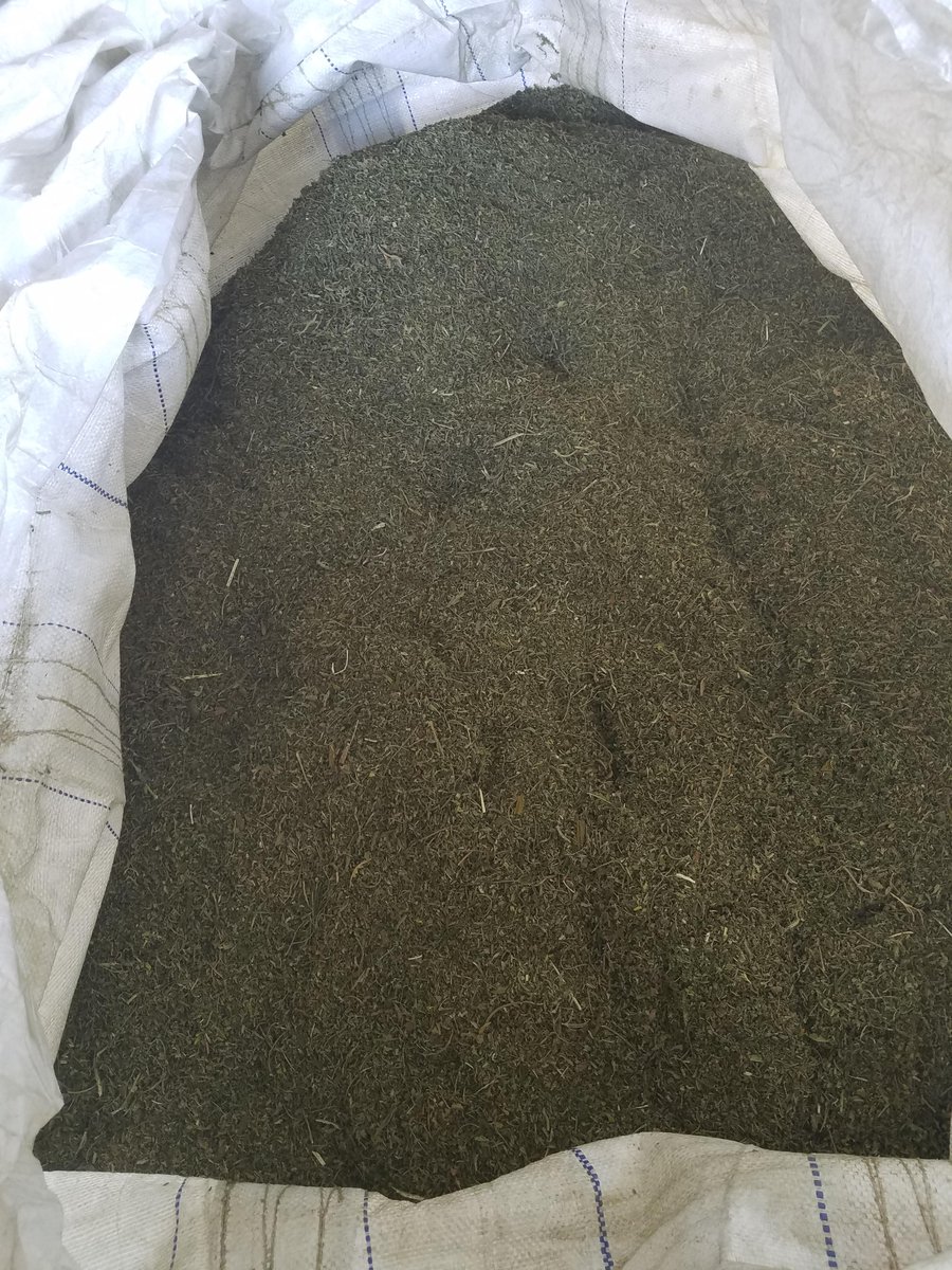 HempProcessingS's tweet photo. That's a great looking super-sac full of healthy hemp hemp biomass right there. https://t.co/NB2vhJAtzZ