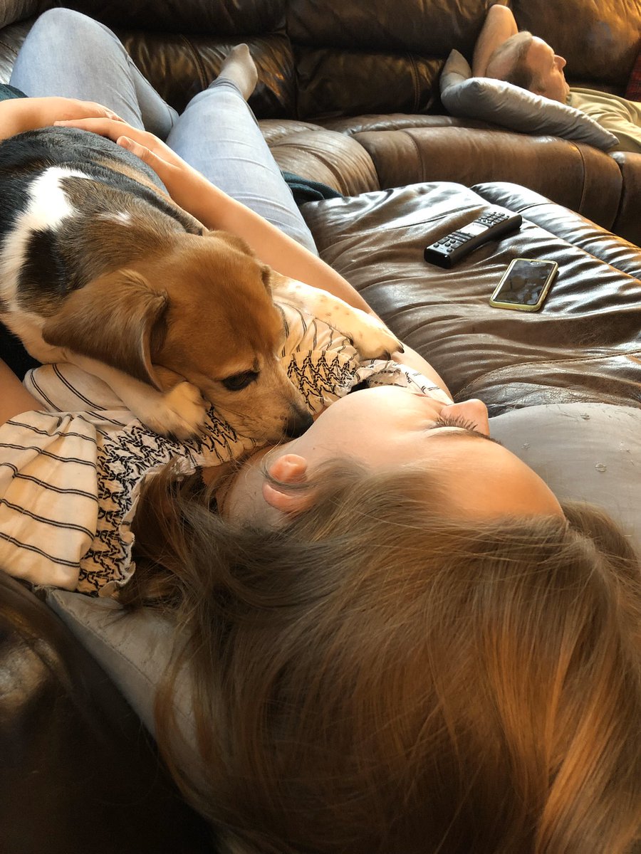 soapybrouli's tweet photo. me and my dogs passed out on the couch: a series https://t.co/uJkyHqqfsb