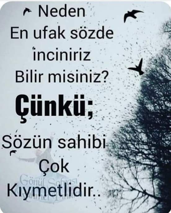 Hayırlı Akşamlar