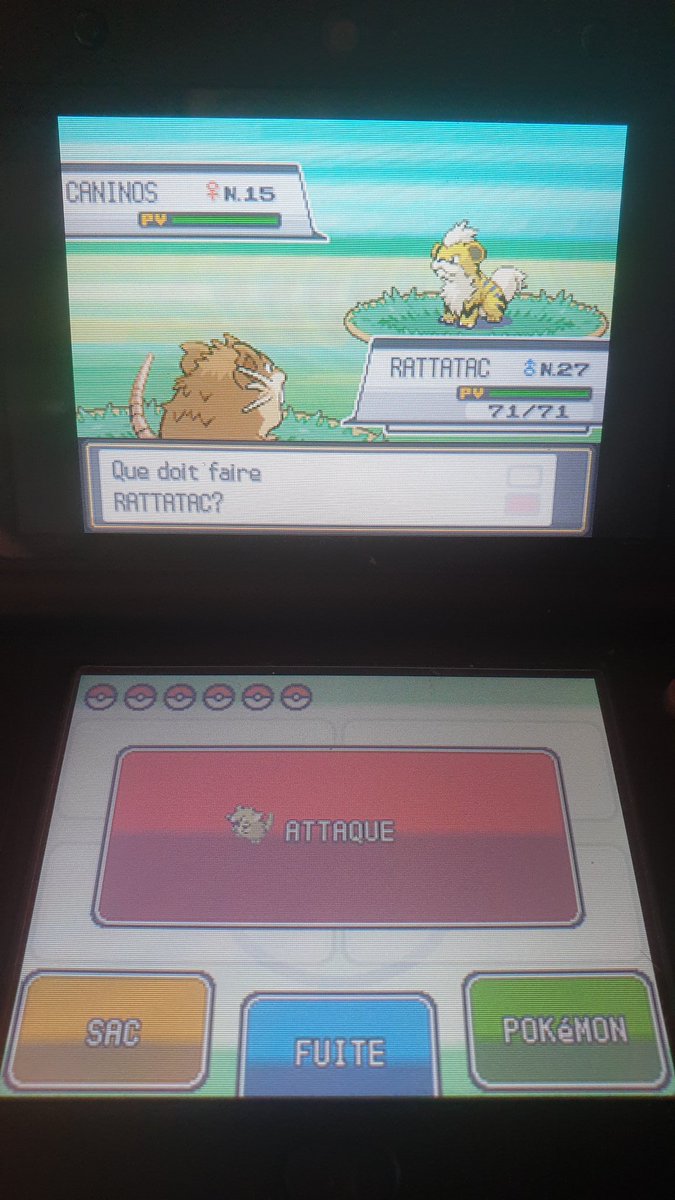 FlcheSH1's tweet photo. Caninos shiny! Il est là! Enfin!
16 phases!
Une shasse commencé il y a trop longtemps!
Vraiment désolé pour les gens qui étaient en vocal avec moi, j'ai jamais autant crié! https://t.co/jF2AkNkxCH